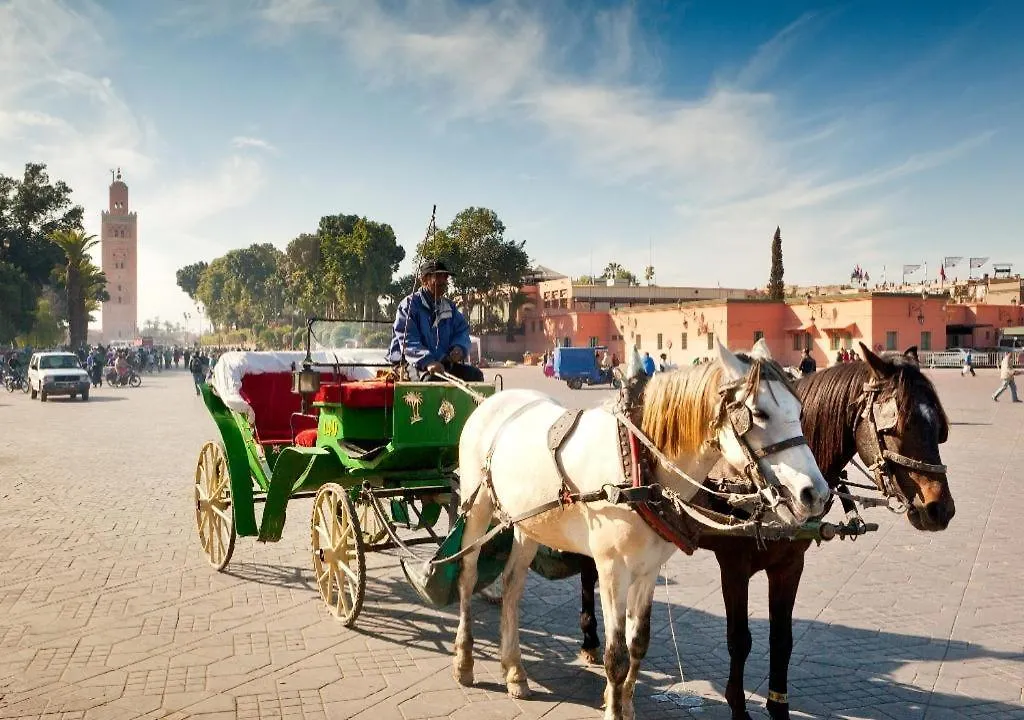 Апартаменты Studio Residence Arzak Marrakech 4623